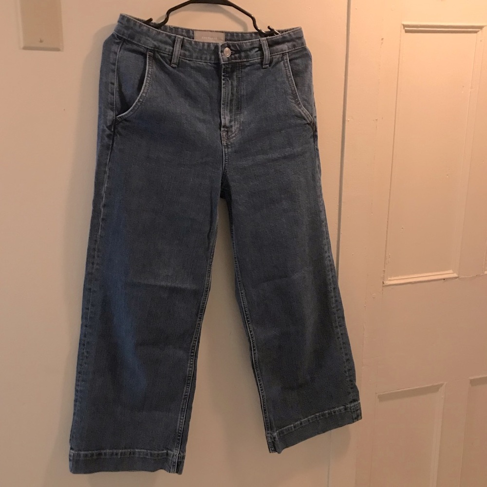 Everlane The Wide Leg Jean